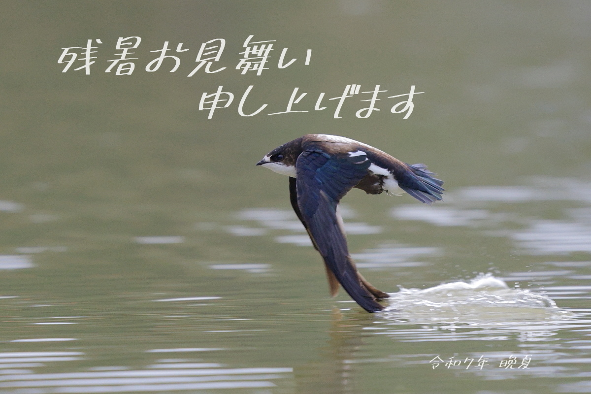 いつになったら