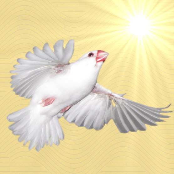 ���ł锒����