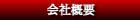 ���₢���킹 �t���b�V���bFLASH�b����@�I�t�B�X�I�m�E�G��ЊT�v ���₢���킹